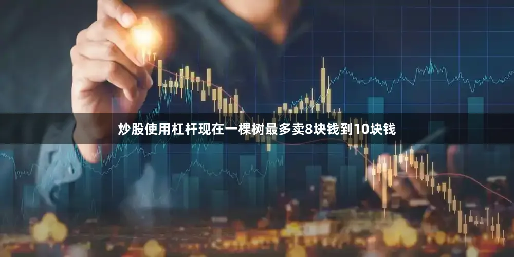 炒股使用杠杆现在一棵树最多卖8块钱到10块钱