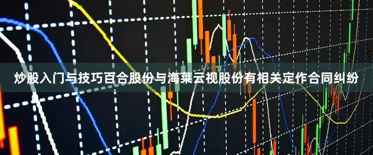 炒股入门与技巧百合股份与海莱云视股份有相关定作合同纠纷