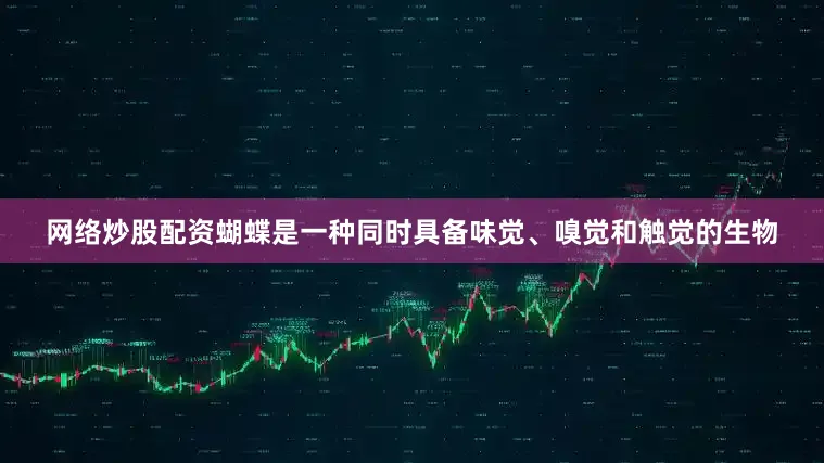 网络炒股配资蝴蝶是一种同时具备味觉、嗅觉和触觉的生物