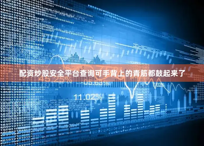 配资炒股安全平台查询可手背上的青筋都鼓起来了