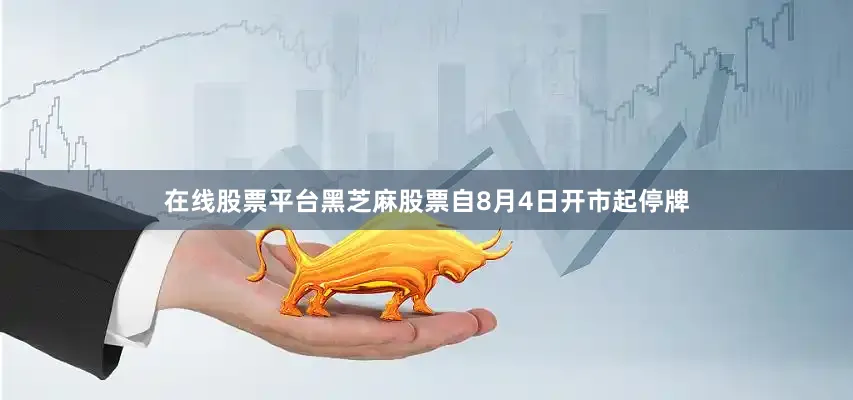 在线股票平台黑芝麻股票自8月4日开市起停牌